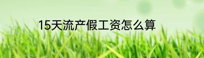 15天流产假工资怎么算