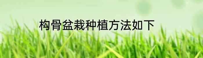 构骨盆栽种植方法如下