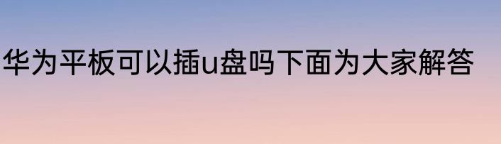 华为平板可以插u盘吗下面为大家解答