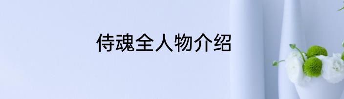 侍魂全人物介绍