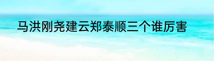马洪刚尧建云郑泰顺三个谁厉害