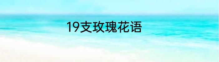 19支玫瑰花语