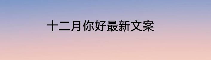 十二月你好最新文案
