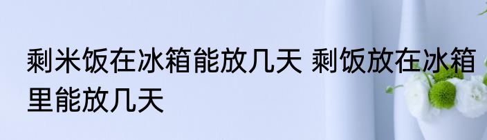 剩米饭在冰箱能放几天 剩饭放在冰箱里能放几天