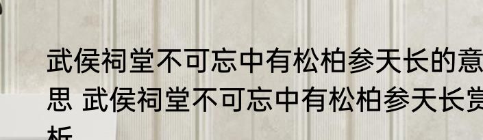 武侯祠堂不可忘中有松柏参天长的意思 武侯祠堂不可忘中有松柏参天长赏析