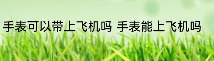 手表可以带上飞机吗 手表能上飞机吗