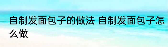 自制发面包子的做法 自制发面包子怎么做