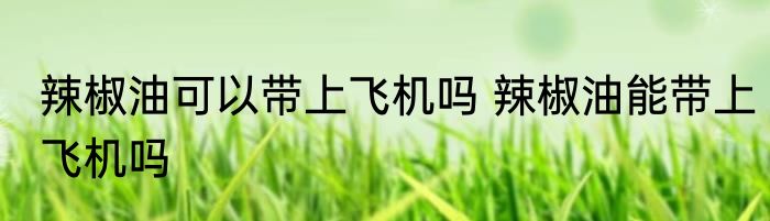 辣椒油可以带上飞机吗 辣椒油能带上飞机吗