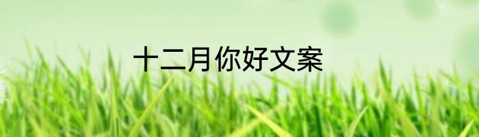 十二月你好文案
