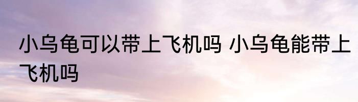 小乌龟可以带上飞机吗 小乌龟能带上飞机吗