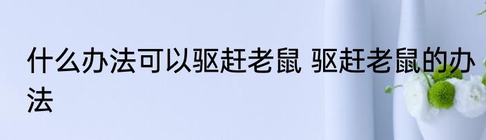 什么办法可以驱赶老鼠 驱赶老鼠的办法
