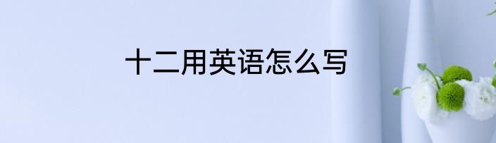 十二用英语怎么写