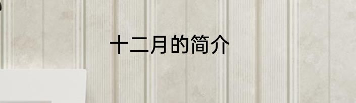 十二月的简介