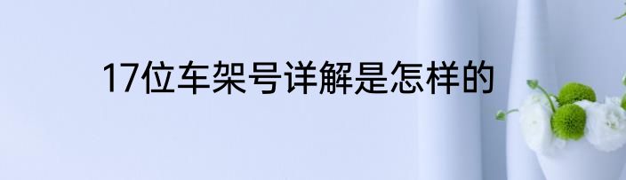 17位车架号详解是怎样的