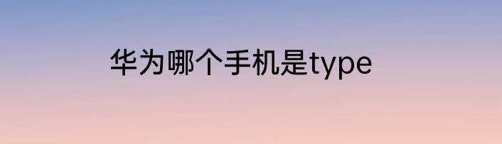 华为哪个手机是type