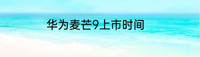 华为麦芒9上市时间