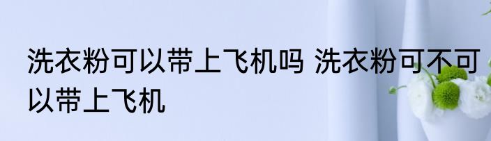 洗衣粉可以带上飞机吗 洗衣粉可不可以带上飞机