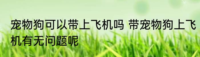宠物狗可以带上飞机吗 带宠物狗上飞机有无问题呢