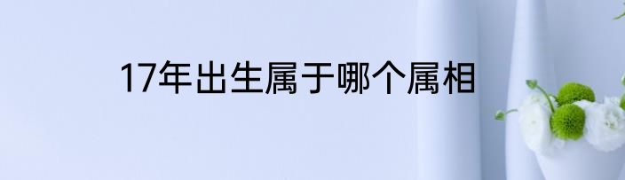 17年出生属于哪个属相