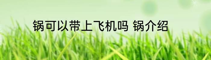 锅可以带上飞机吗 锅介绍