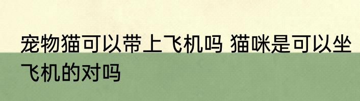 宠物猫可以带上飞机吗 猫咪是可以坐飞机的对吗