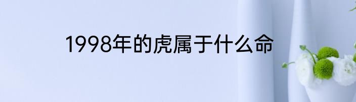 1998年的虎属于什么命