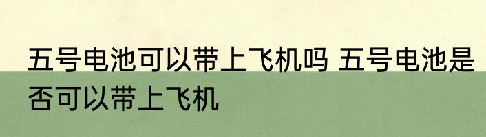五号电池可以带上飞机吗 五号电池是否可以带上飞机