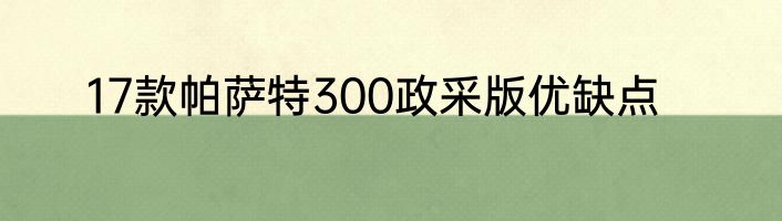 17款帕萨特300政采版优缺点
