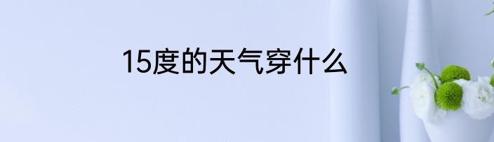 15度的天气穿什么