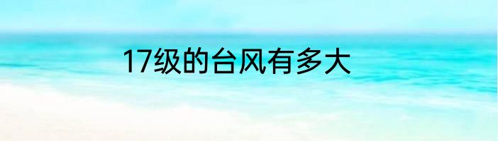17级的台风有多大