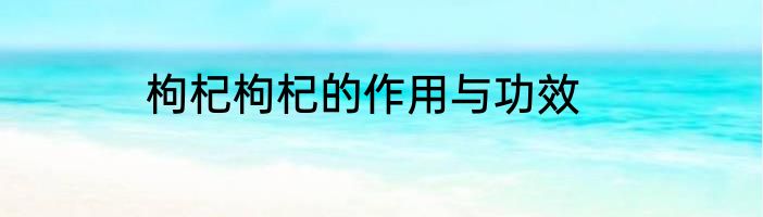 枸杞枸杞的作用与功效