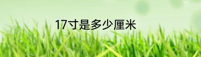 17寸是多少厘米