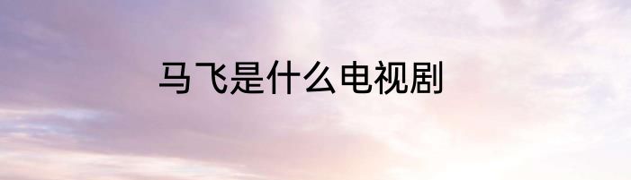 马飞是什么电视剧