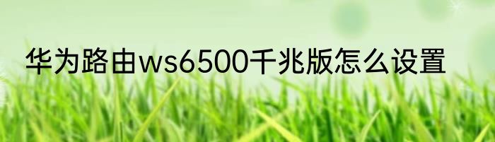 华为路由ws6500千兆版怎么设置