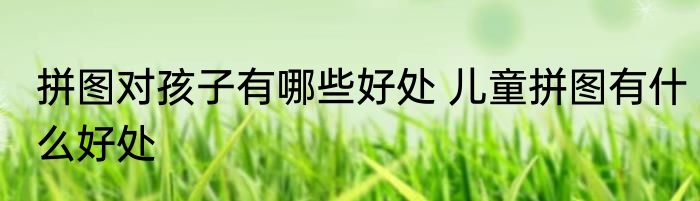 拼图对孩子有哪些好处 儿童拼图有什么好处