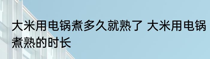 大米用电锅煮多久就熟了 大米用电锅煮熟的时长
