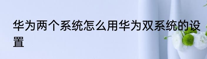 华为两个系统怎么用华为双系统的设置
