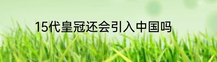 15代皇冠还会引入中国吗
