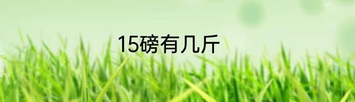 15磅有几斤