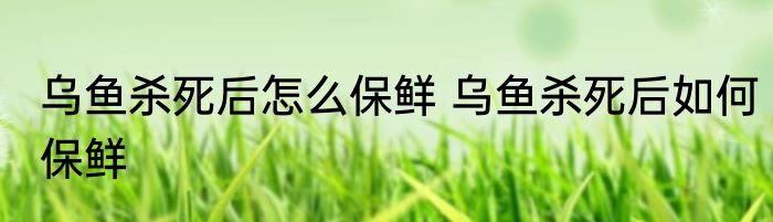 乌鱼杀死后怎么保鲜 乌鱼杀死后如何保鲜