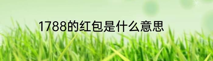 1788的红包是什么意思