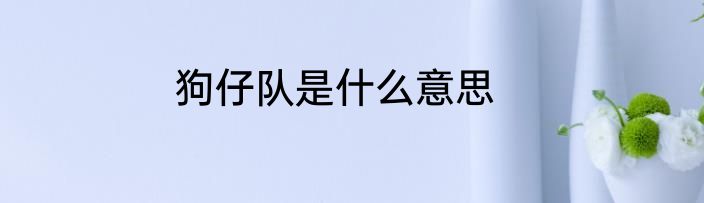 狗仔队是什么意思