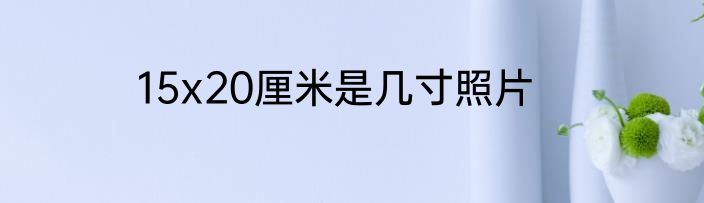 15x20厘米是几寸照片
