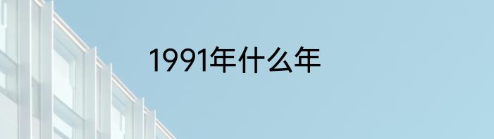 1991年什么年