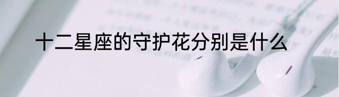 十二星座的守护花分别是什么