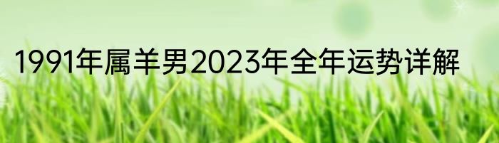 1991年属羊男2023年全年运势详解