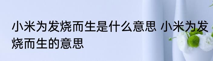 小米为发烧而生是什么意思 小米为发烧而生的意思