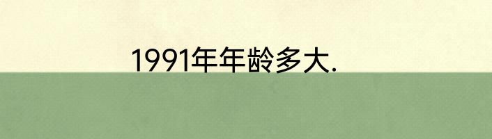 1991年年龄多大.