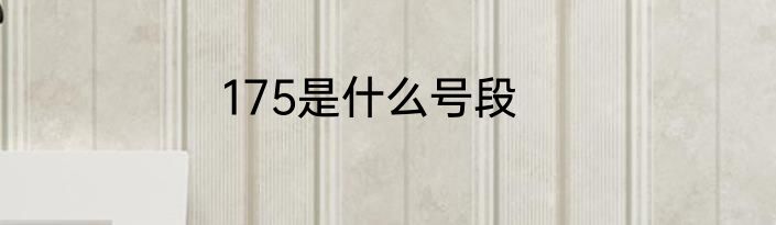 175是什么号段