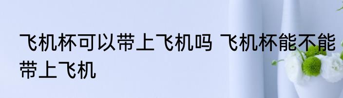 飞机杯可以带上飞机吗 飞机杯能不能带上飞机
